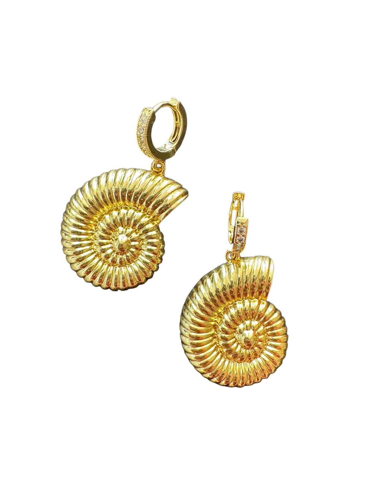 Ammonite Earrings