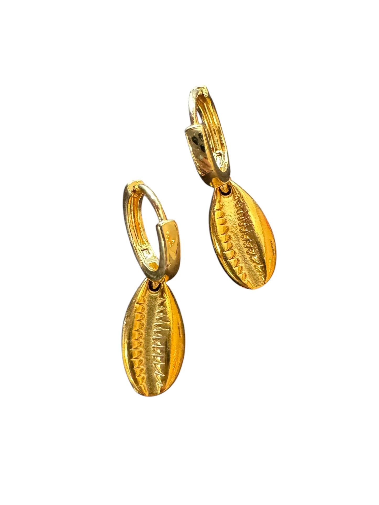 Shell Earrings